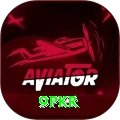 9pkr Premium vv2.4.0