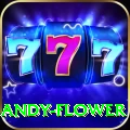 andy flower Premium Edition v4.7.1