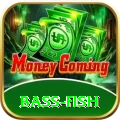 bass fish Turbo v2.5.7
