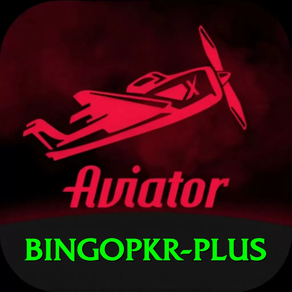 bingopkr Master Pro v4.2.4 - 2
