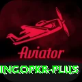 bingopkr Master Pro v4.2.4