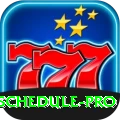 cricket match schedule Casino Pro v1.0.5