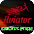 cricket pitch Games (Casino & Earning) Turbo v5.9.0