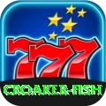 croaker fish Apps (Tools & Injectors) Pro v3.4.6