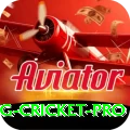 eng cricket Slot Machine VIP