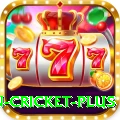 fastest ball in cricket Champion New