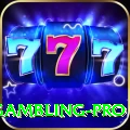 gambling VIP Gaming App