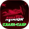 grass carp Deluxe Edition v4.2.9
