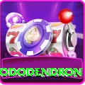 helambu rhododendron Games (Casino & Earning) Premium v5.1.0