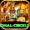 international cricket Deluxe Pro v3.4.9