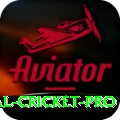 international cricket - Super Earning App