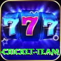 ireland cricket team Premium Plus v4.3.8