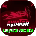 lungi ngidi Plus Edition v1.3.1