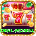 morne morkel Pro Edition v5.3.4