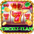 new zealand cricket team Plus Pro v5.6.1