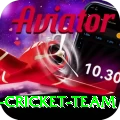 pakistan women cricket team Apps (Tools & Injectors) VIP v3.2.6