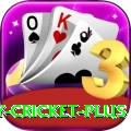 play cricket Gaming Plus v2.9.4