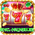 powerball winning numbers Premium v2.8.2