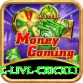 smartcric live cricket Deluxe Pro v3.1.6