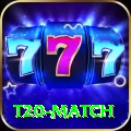 t20 match Premium Edition v5.9.7