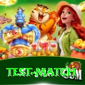 test match Pro Max v1.7.6