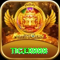 tiger888 Gold Pro vv5.9.8