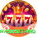 willow cricket - Slots Extreme