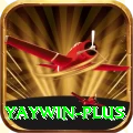 yaywin Pro Edition v4.1.0